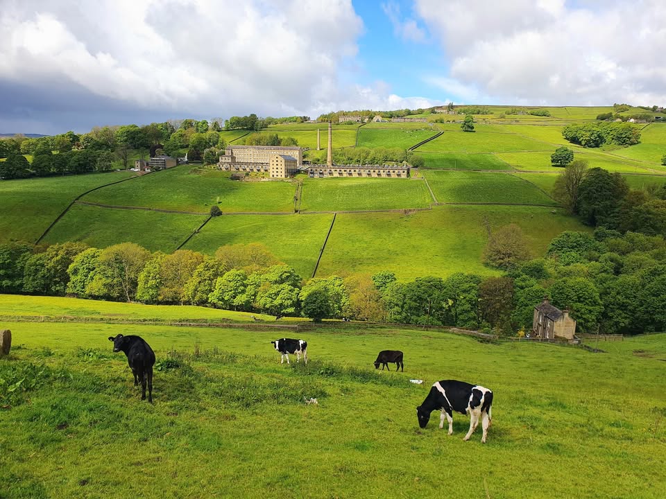 Pennine Brewing Co