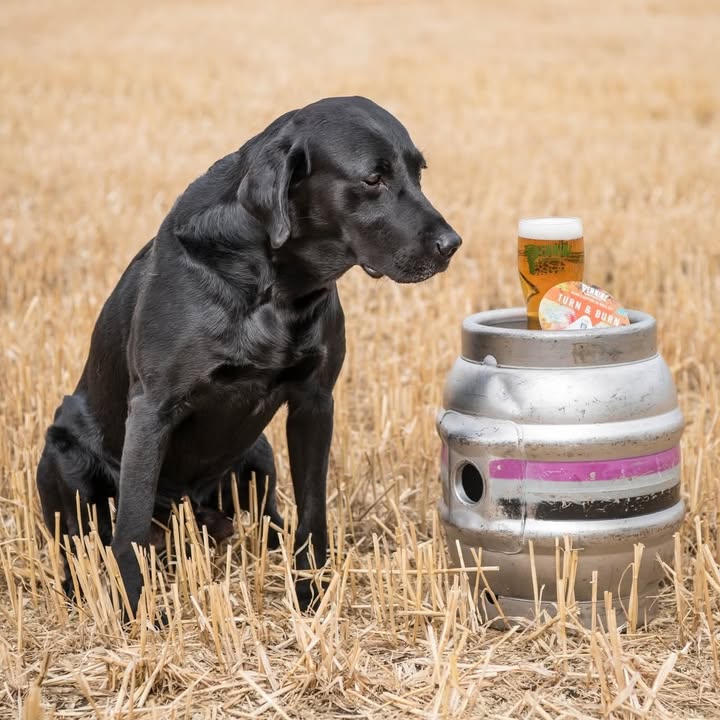 Pennine Brewing Co
