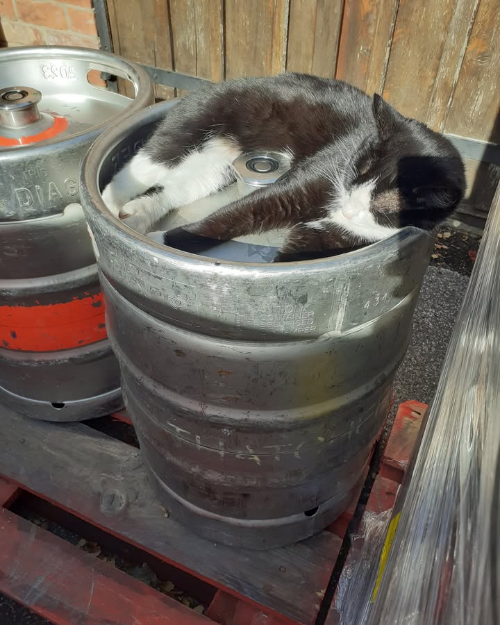 Pennine Brewing Co